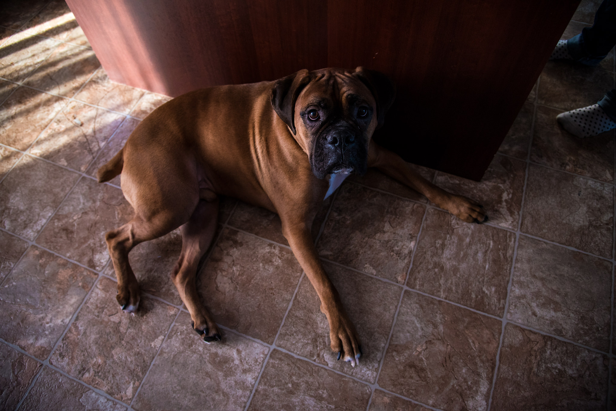 Maelle and Loic Family Blog-16.jpg