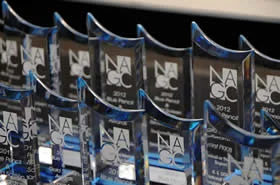 2011 Blue Pencil and Gold Screen Award Special Purpose Project - FEMA / NVision4D