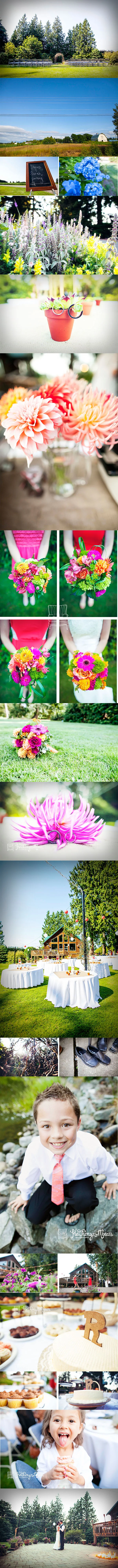 steveandsarahweddingblog.jpg