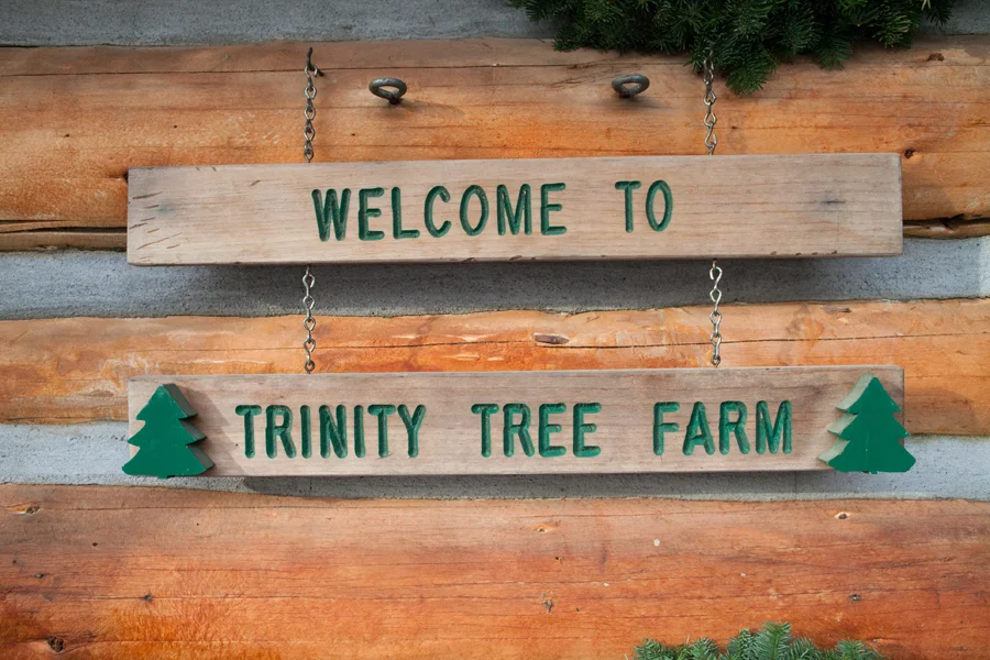 001-trinity-tree-farm.jpg