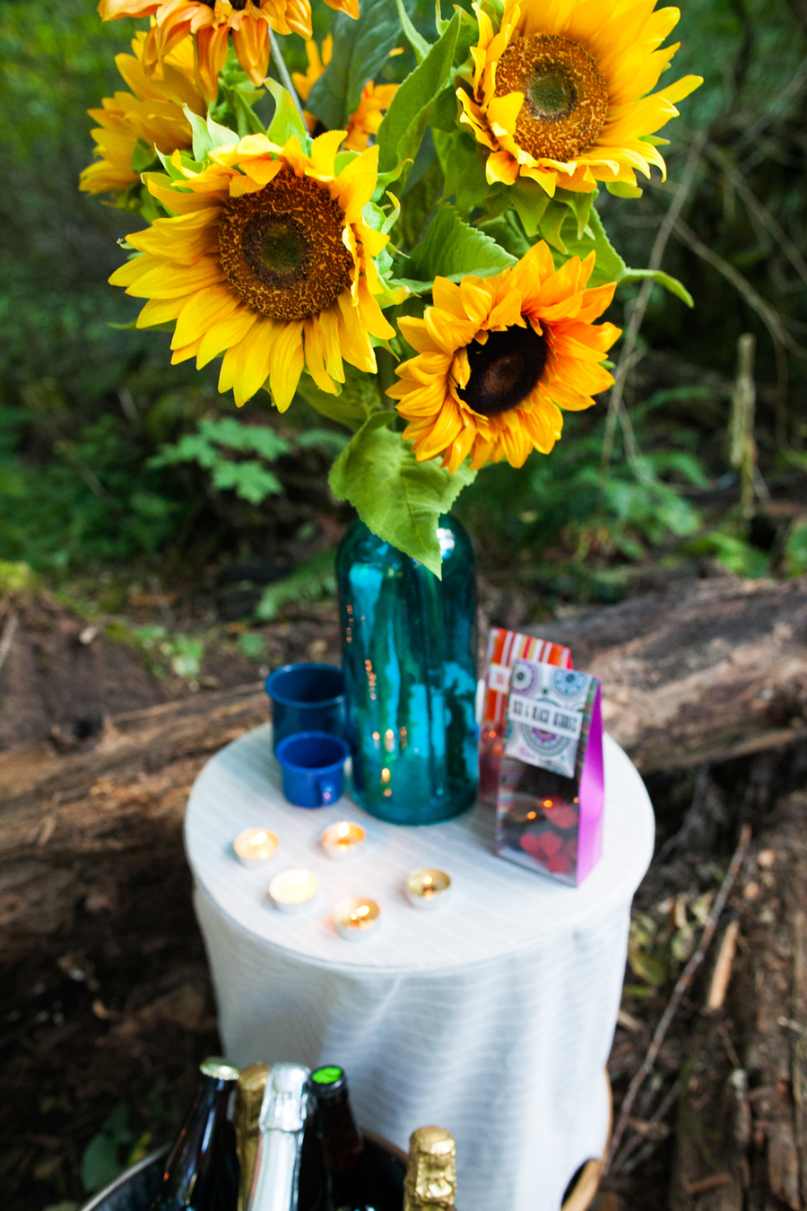 003-engaged-in-pdx-2014-personal.jpg