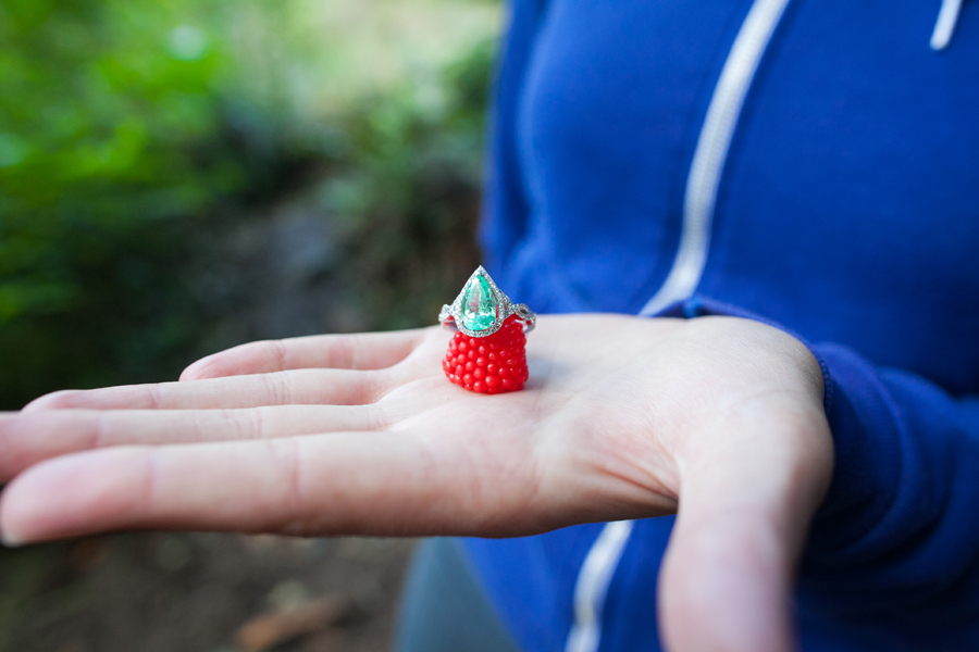 013-engaged-in-pdx-2014-personal.jpg