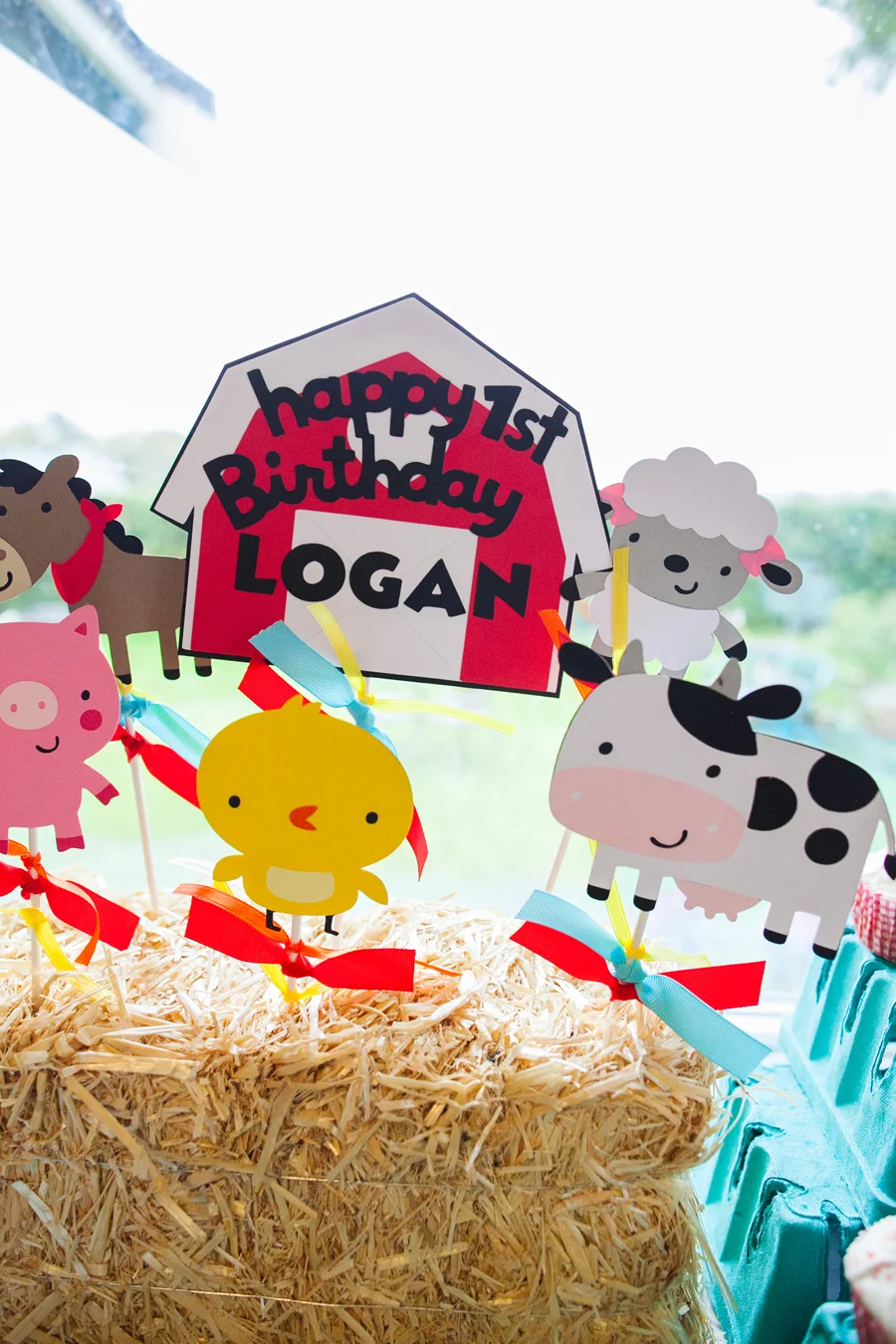 001-one-year-farm-themed-birthday-party-bellingham.jpg