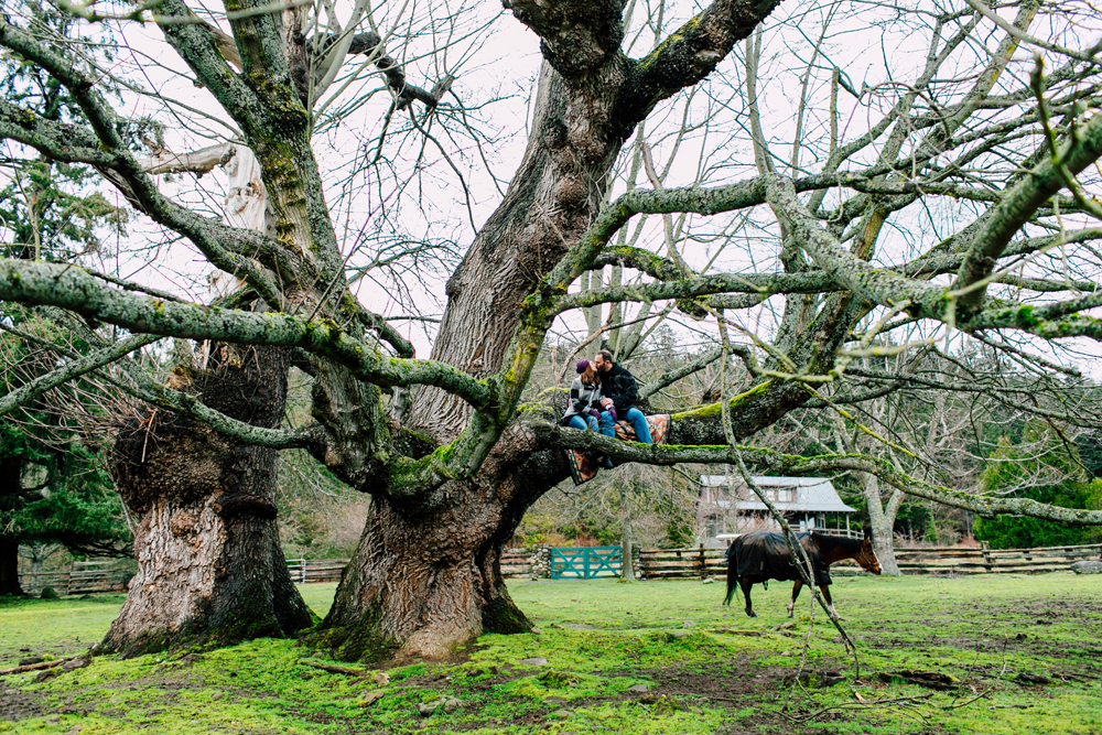 011-decatur-san-san-juan-islands-engagement-photographer-katheryn-moran-mandy-mike.jpg