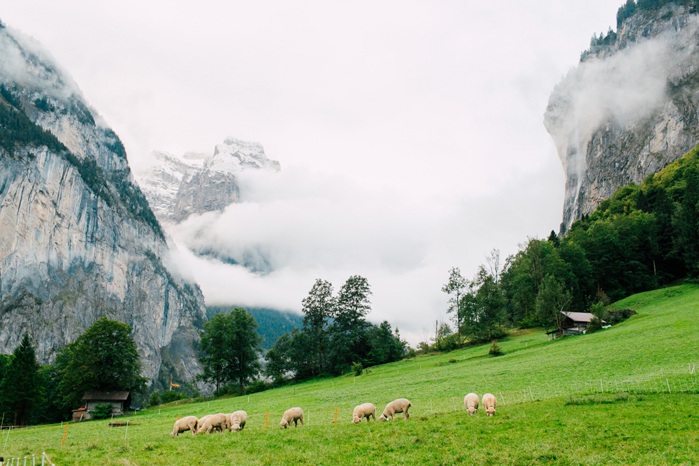 018-lauterbrunnen-wengen-switzerland-europe-katheryn-moran-photography.jpg