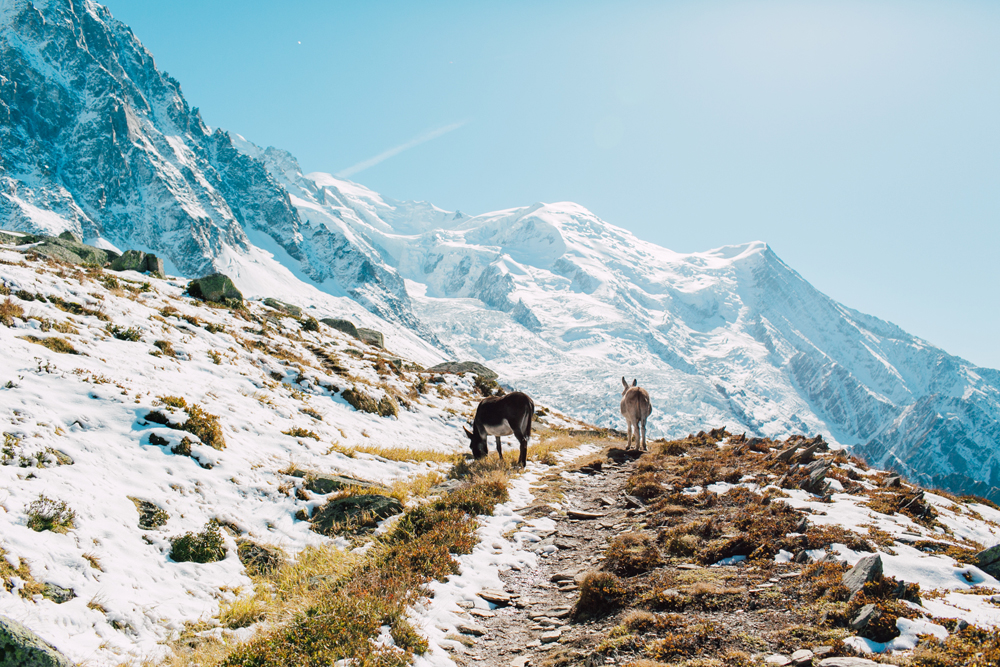 016-chamonix-france-european-photographer-katheryn-moran-mont-blanc.jpg