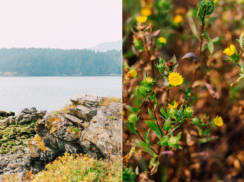 022-orcas-island-wedding-photographer-katheryn-moran-shayna-shaunn-elopement.jpg