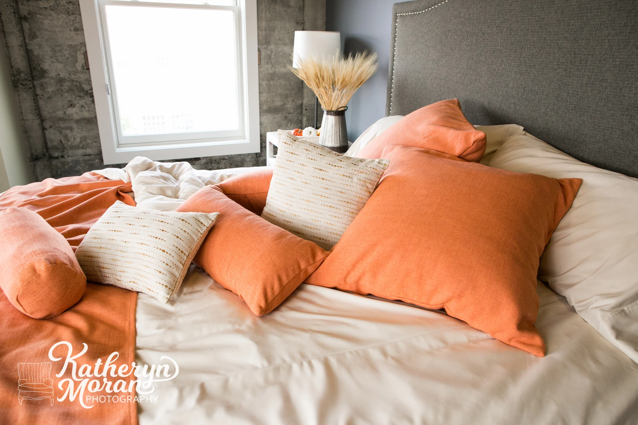 Bellingham Business Photographer Comphy Brand