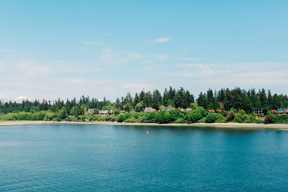 Seattle Engagement Photographer Katheryn Moran, Seattle Great Wheel, Indianola