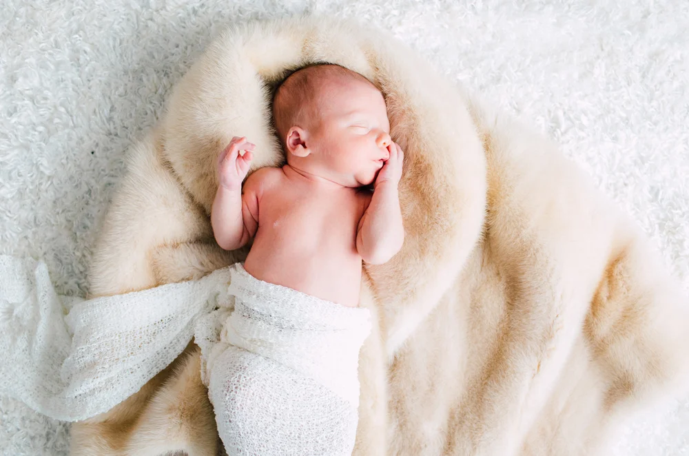 Bellingham Newborn Photographer Katheryn Moran 