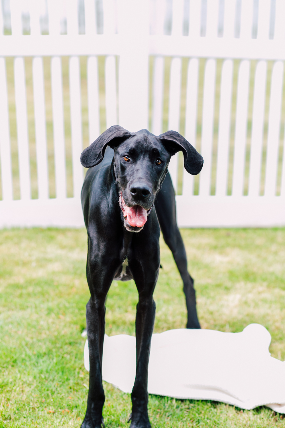 Bellingham Family Photographer Katheryn Moran Lake Samish 