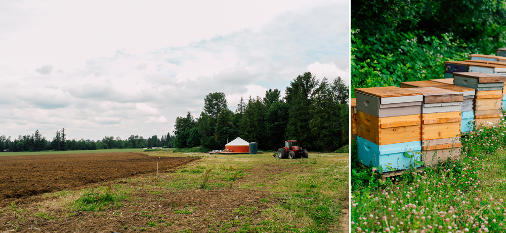 Alluvial Farms, Bellingham Photographer, Bellingham Farm, Food Styling 