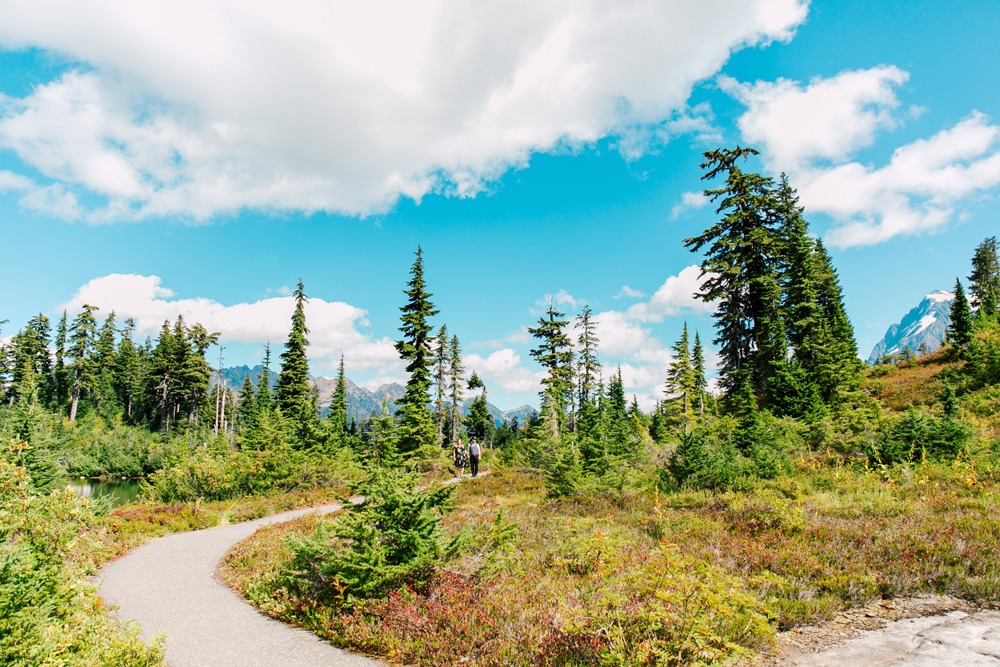 014-bellingham-engagement-photographer-mount-baker-north-fork-brewery-emma-eric.jpg