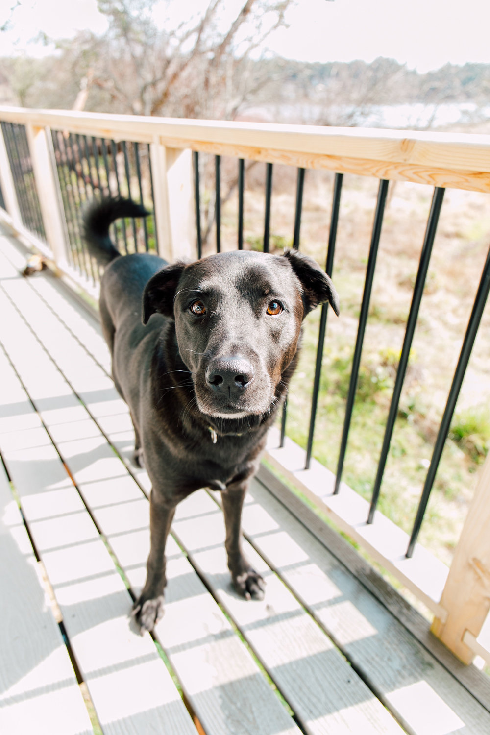 AirBNB Photographer, Katheryn Moran Photographer, Roche Harbor Washington