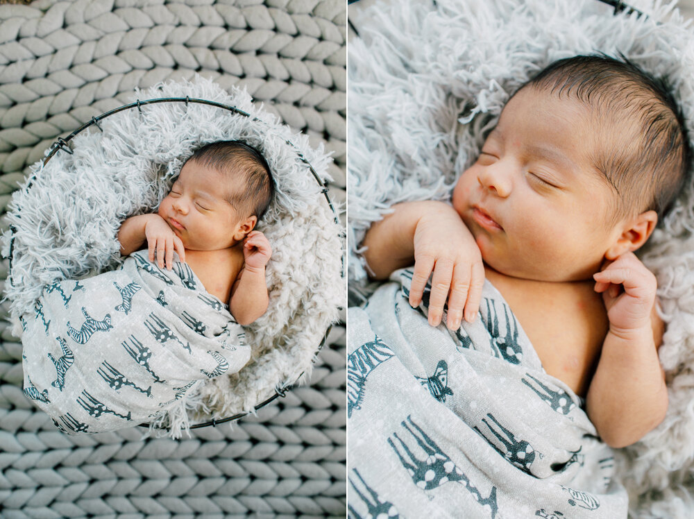 Bellingham Newborn Photographer Katheryn Moran Home Studio Session