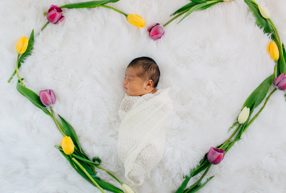 Bellingham Newborn Photographer Katheryn Moran Home Studio Session