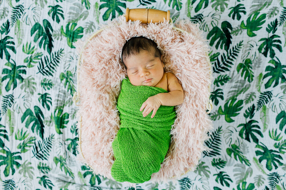 Bellingham Newborn Photographer Katheryn Moran Home Studio Session