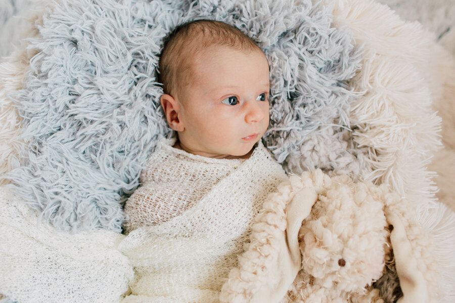 006-bellingham-newborn-photographer-katheryn-moran-baby-mosley.jpg