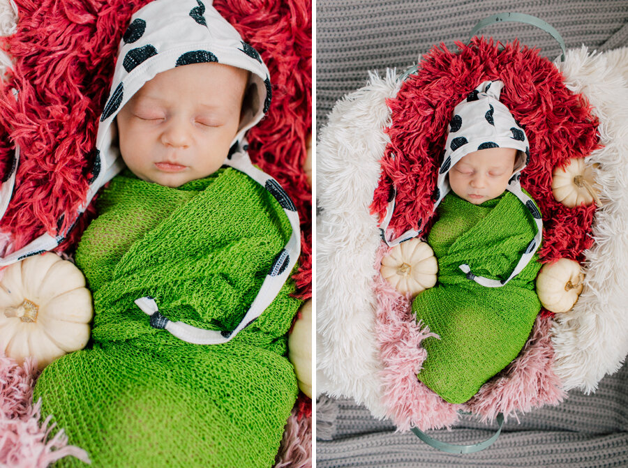 Bellingham newborn Photographer Katheryn Moran