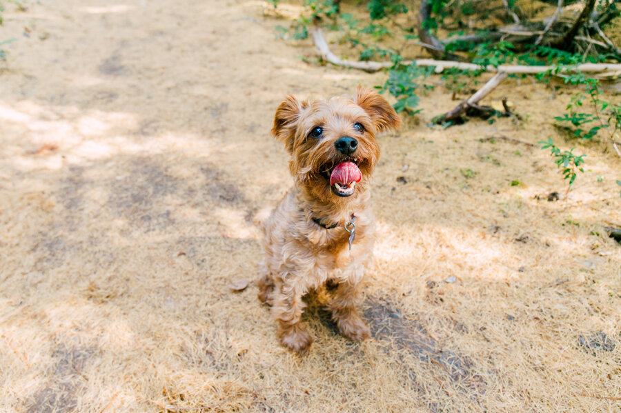 009-Leavenworth-Photographer-Katheryn-Moran-AirBNB-2019.jpg