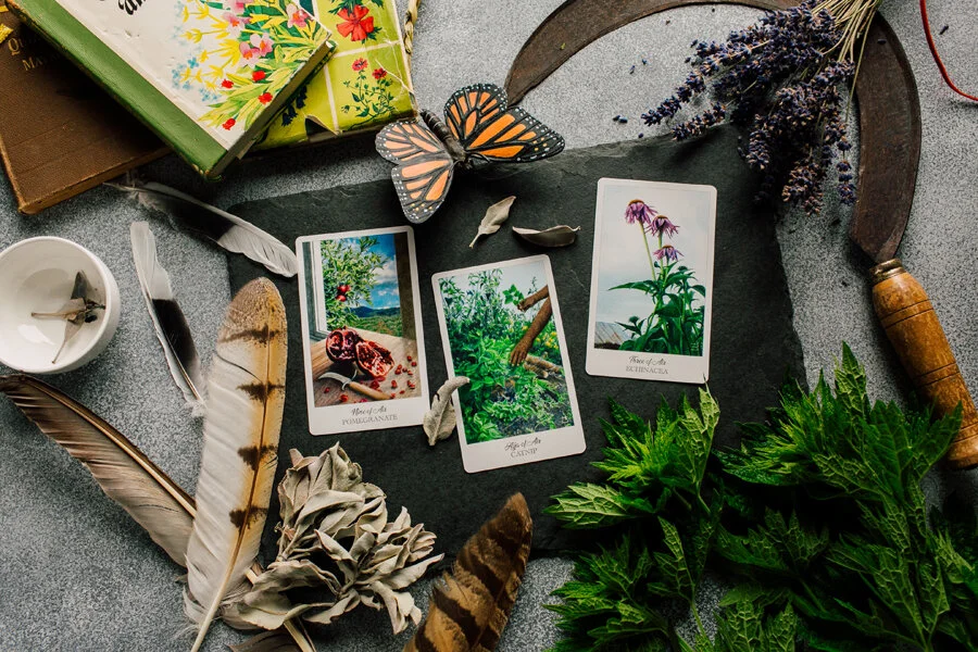 Bellingham Studio Product Photographer Katheryn Moran Tarot Cards