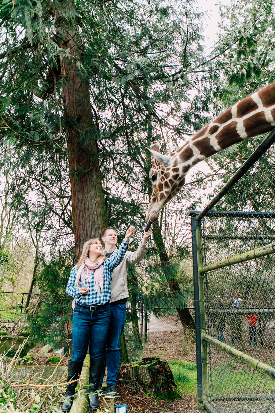 Seattle Engagement Photographer Woodland Park Zoo UW Stadium Katheryn Moran Photography 