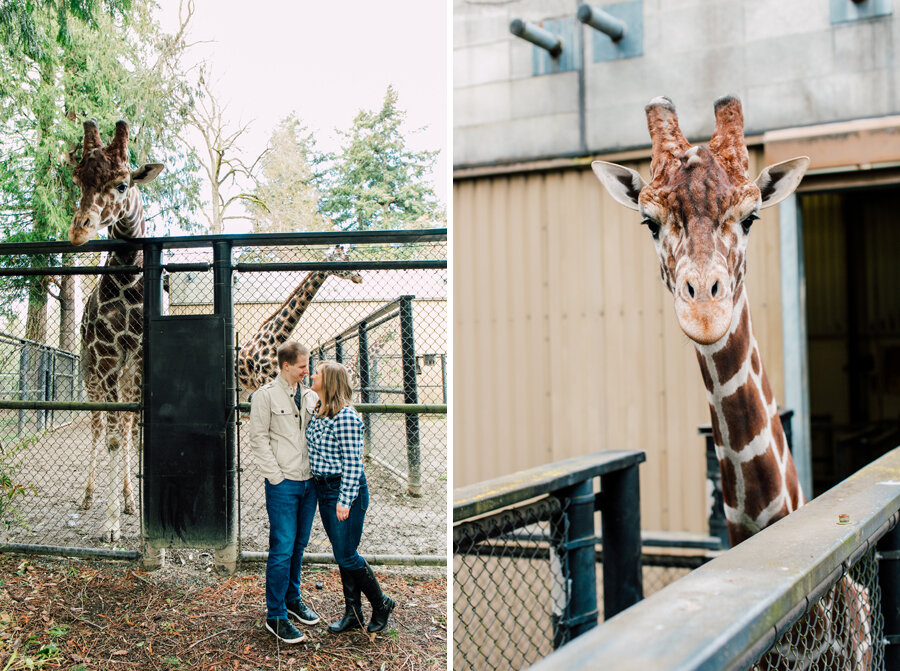 Woodland Park Zoo Seattle Engagement Photographer 