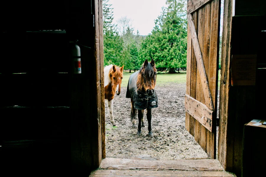 020-planning-unique-engagement-sessions-bellingham-photographer-katheryn-moran.jpg