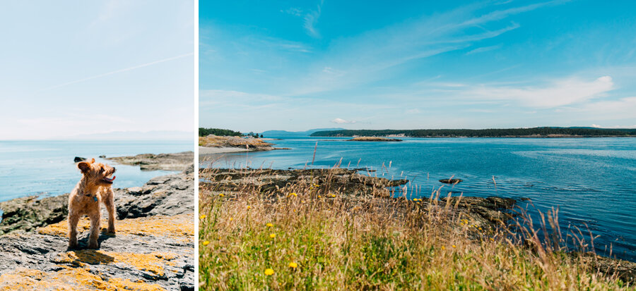 San Juan Island Professional Photographer Katheryn Moran Summer Fun Activity Family Couple Photography Tips