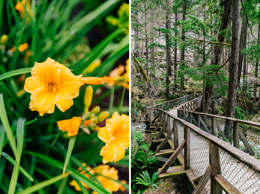 Social Distancing Pacific Northwest Katheryn Moran PhotographySkagit COunty Professional Landscape Photographer Katheryn Moran Newhalem Diablo Lake Summer Fun Tips