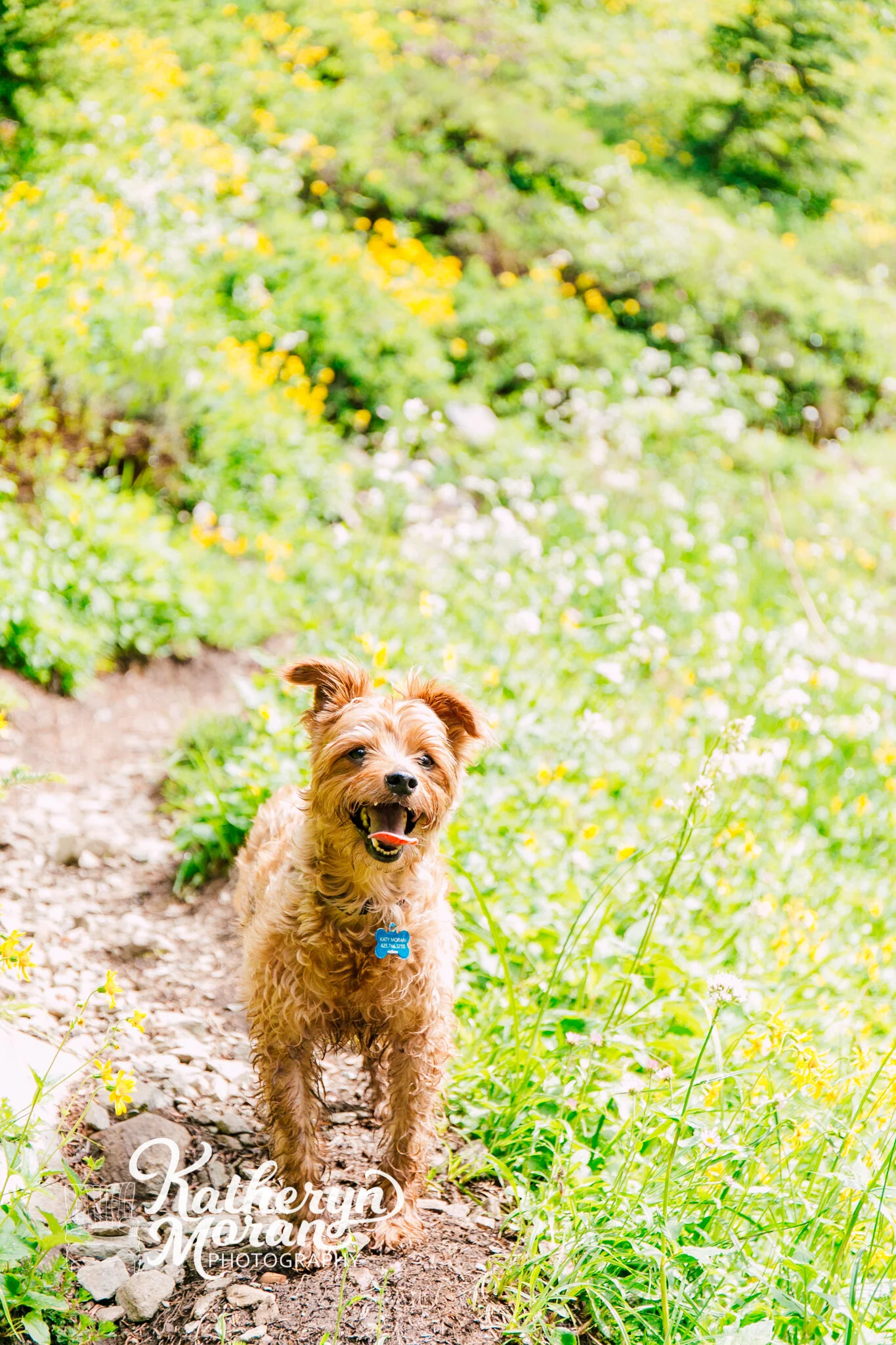 Bellingham Professional Pacific Northwest Photographer Anderson Watson Lake Hiking Katheryn Moran Photography