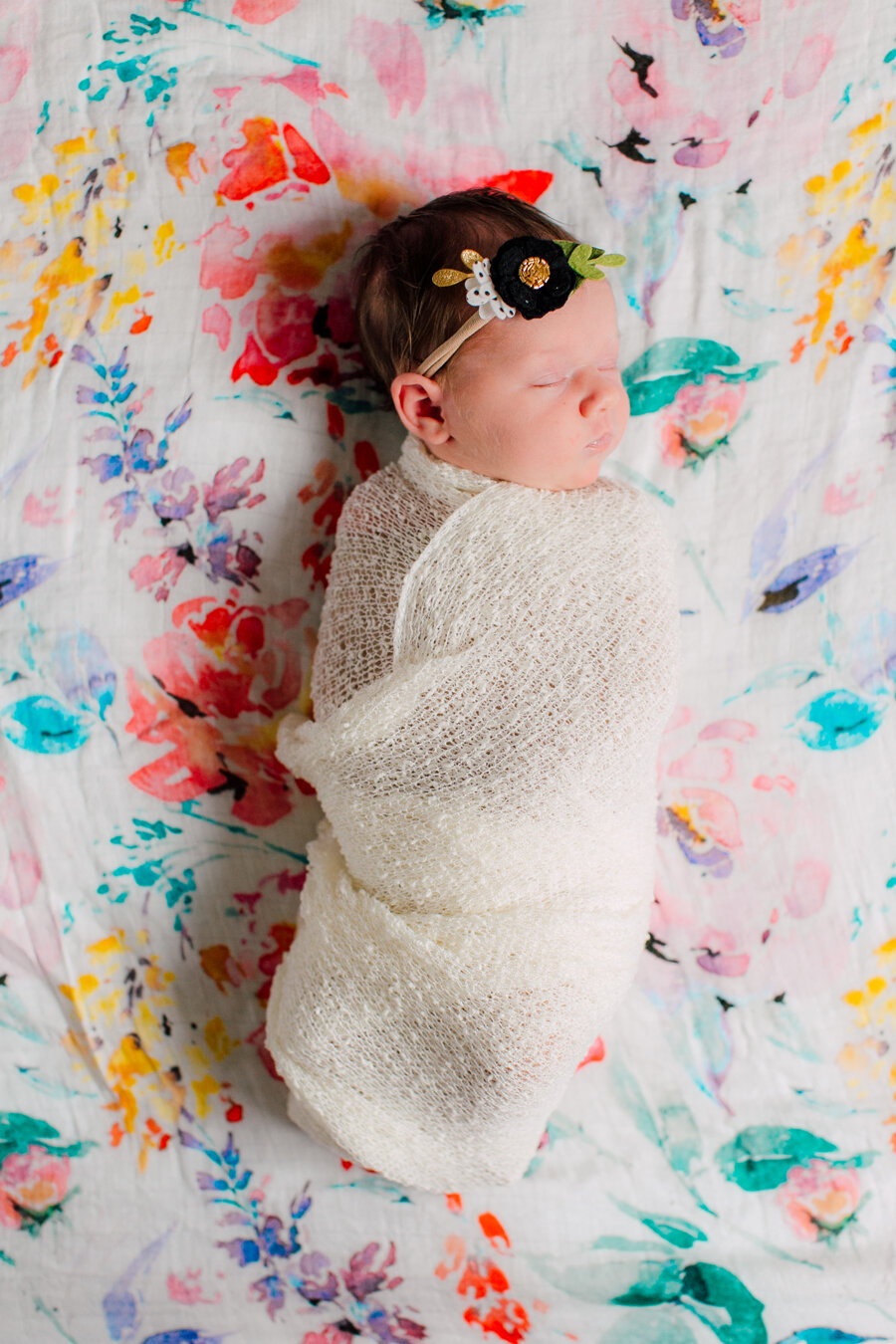 Bellingham Family Newborn photographer Katheryn Moran Ludwig