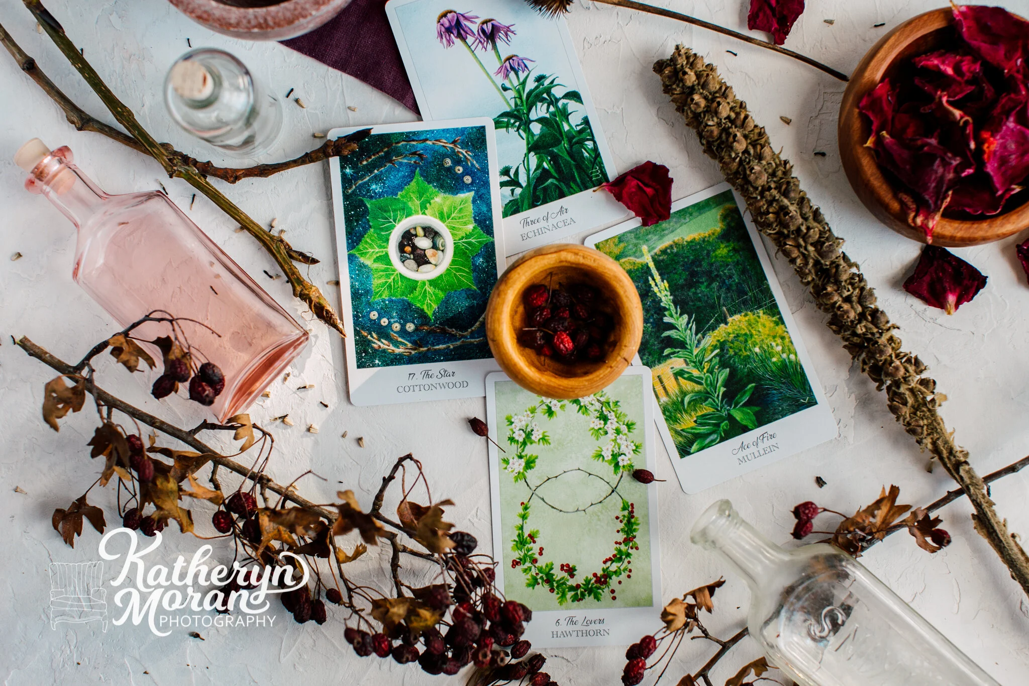 Bellingham Studio Product Photographer Katheryn Moran Tarot Cards