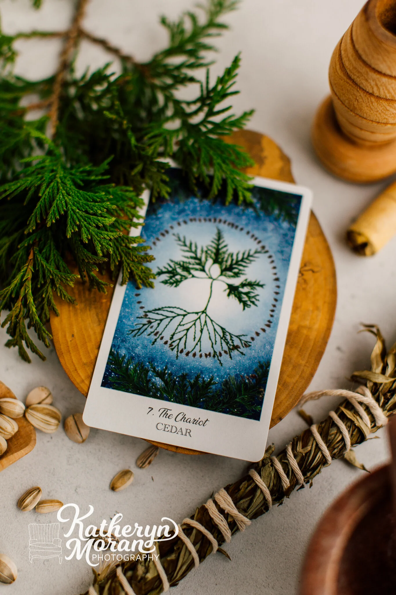 Bellingham Food and Product Stylist Katheryn Moran Tarot