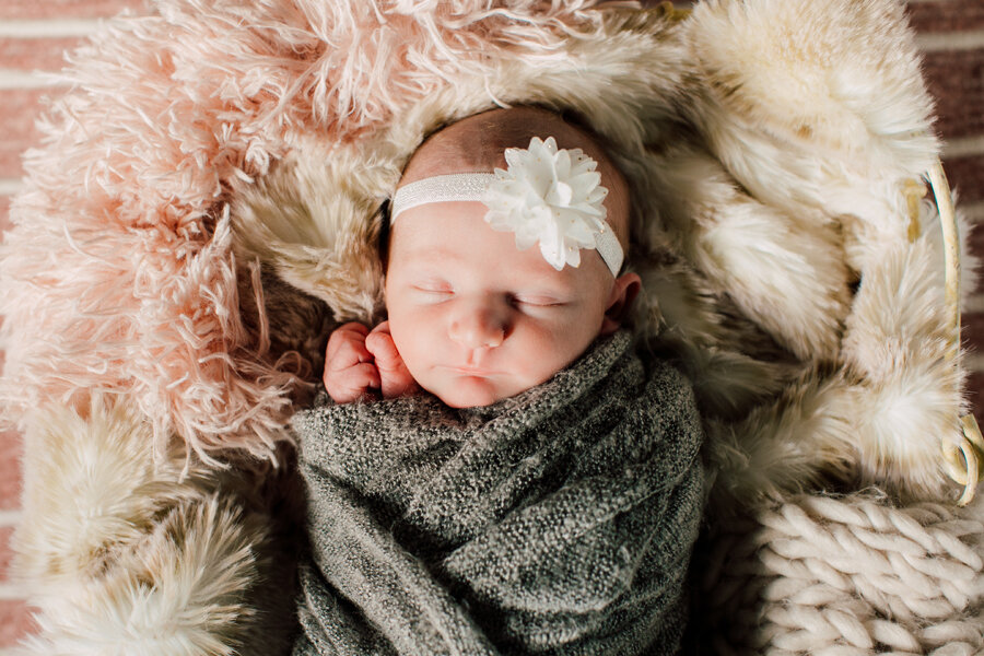 Bellingham Newborn Photographer, Katheryn Moran, baby Rae Lynn