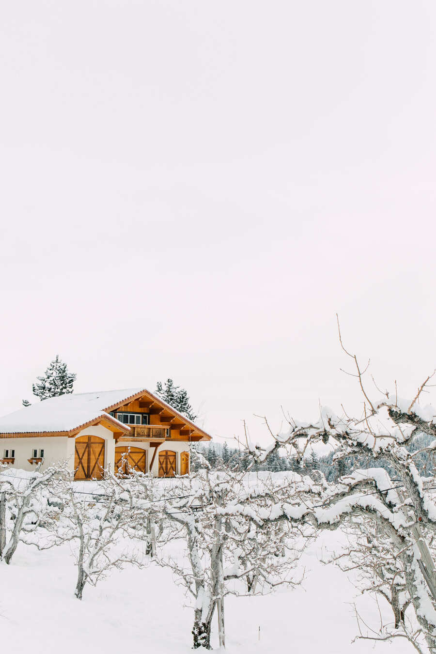 Snowshoe in Leavenworth Katheryn Moran Photography