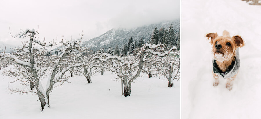 Snowshoe in Leavenworth Katheryn Moran Photography