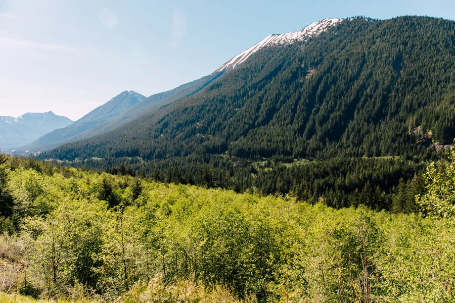 North bend Airbnb Photographer Katheryn Moran Photography