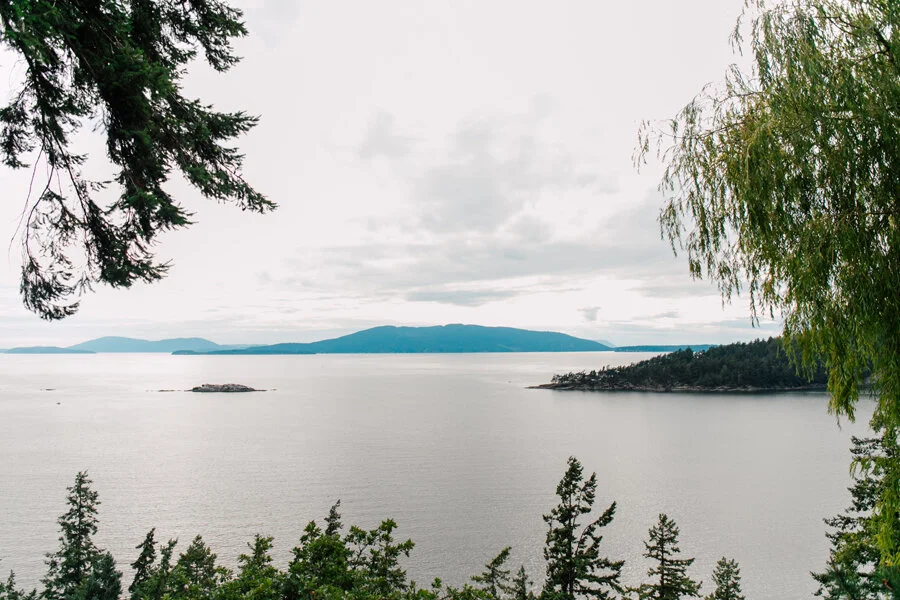 040-bellingham-engagement-photographer-katheryn-moran-chuckanut-drive-ario-lindsay.jpg
