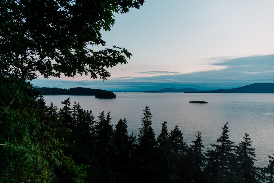 053-bellingham-engagement-photographer-katheryn-moran-chuckanut-drive-ario-lindsay.jpg