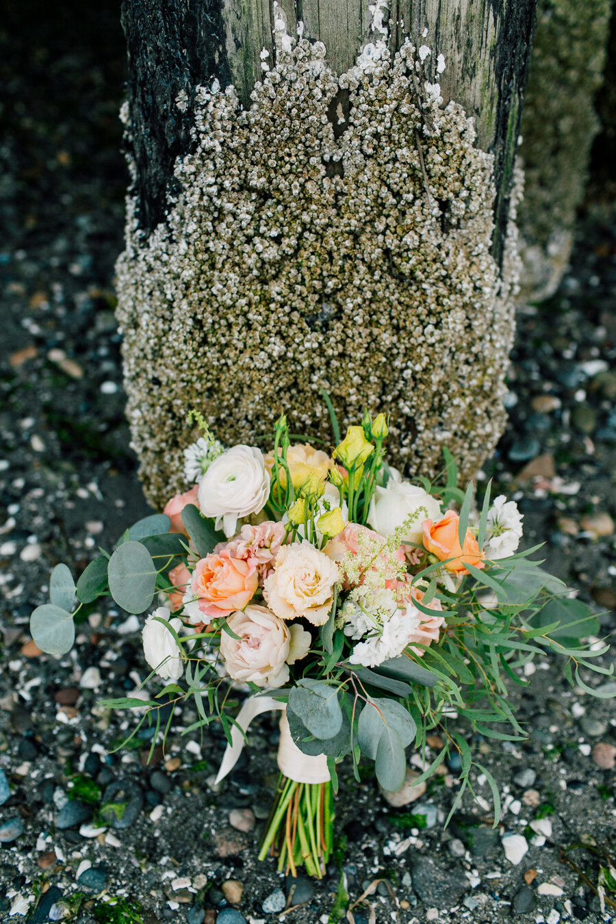 026-bellingham-elopement-photographer-katheryn-moran-semiahmoo-resort-nicolle-joel-2020.jpg