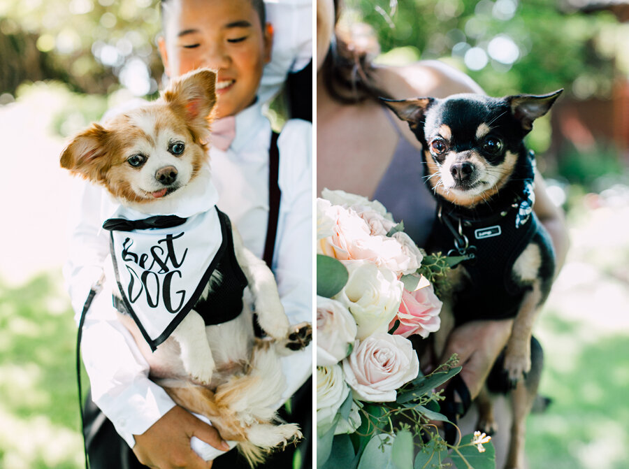 Peace Arch Park Elopement Photographer Katheryn Moran photography