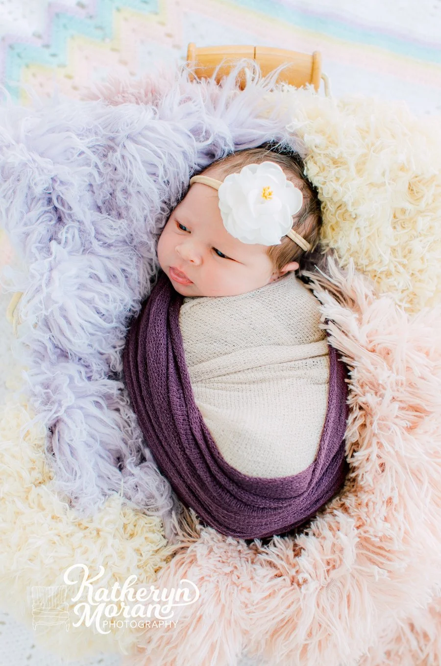 Bellingham Best Photographer Katheryn Moran Photography 2021