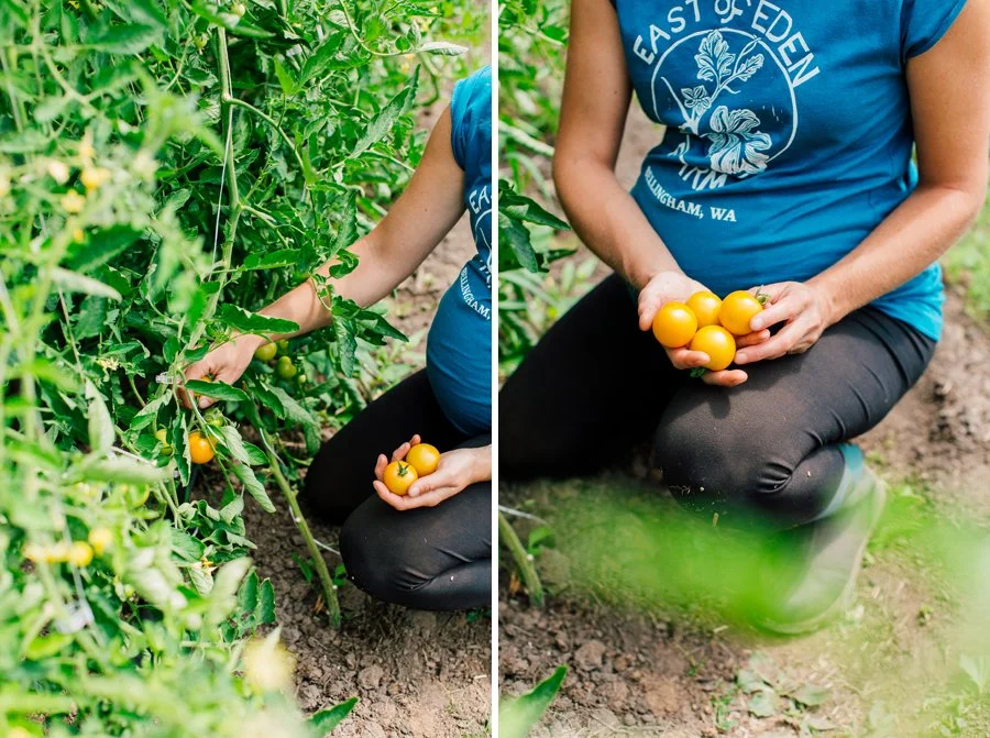 019-bellingham-business-farm-photographer-katheryn-moran-east-of-eden-farm-whatcom-county.jpg