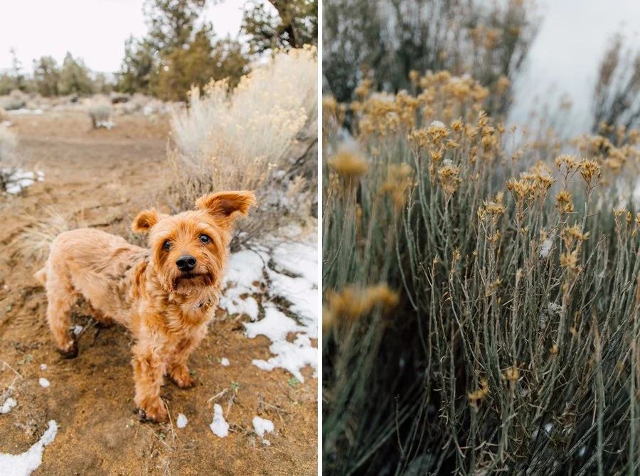 Bend Oregon Professional Photographer Katheryn Moran Oregon Badlands