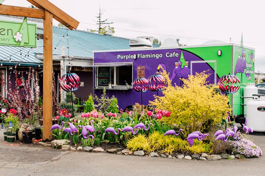 Bellingham Food Business Photographer Katheryn Moran Purple Flamingo Food Truck My Garden Nursery
