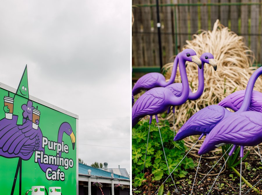 003-bellingham-food-business-photographer-katheryn-moran-photography-purple-flamingo-food-truck-my-garden-nursery.jpg