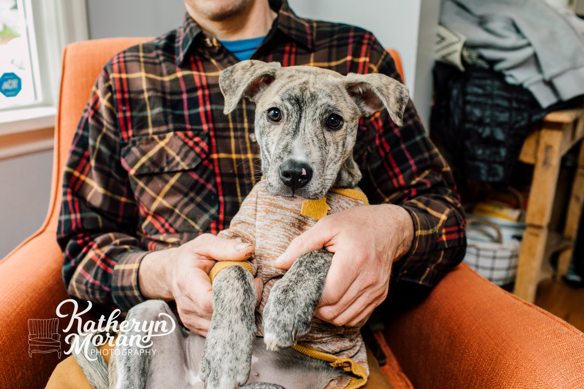 Bellingham Family Pet Photographer Katheryn Moran Photography