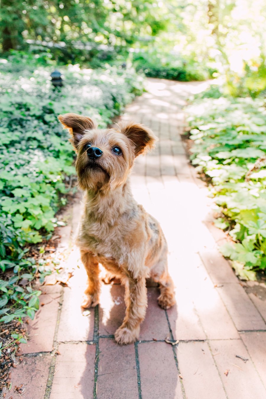 Bellingham Airbnb Photographer 7 Year Anniversary Katheryn Moran Photography