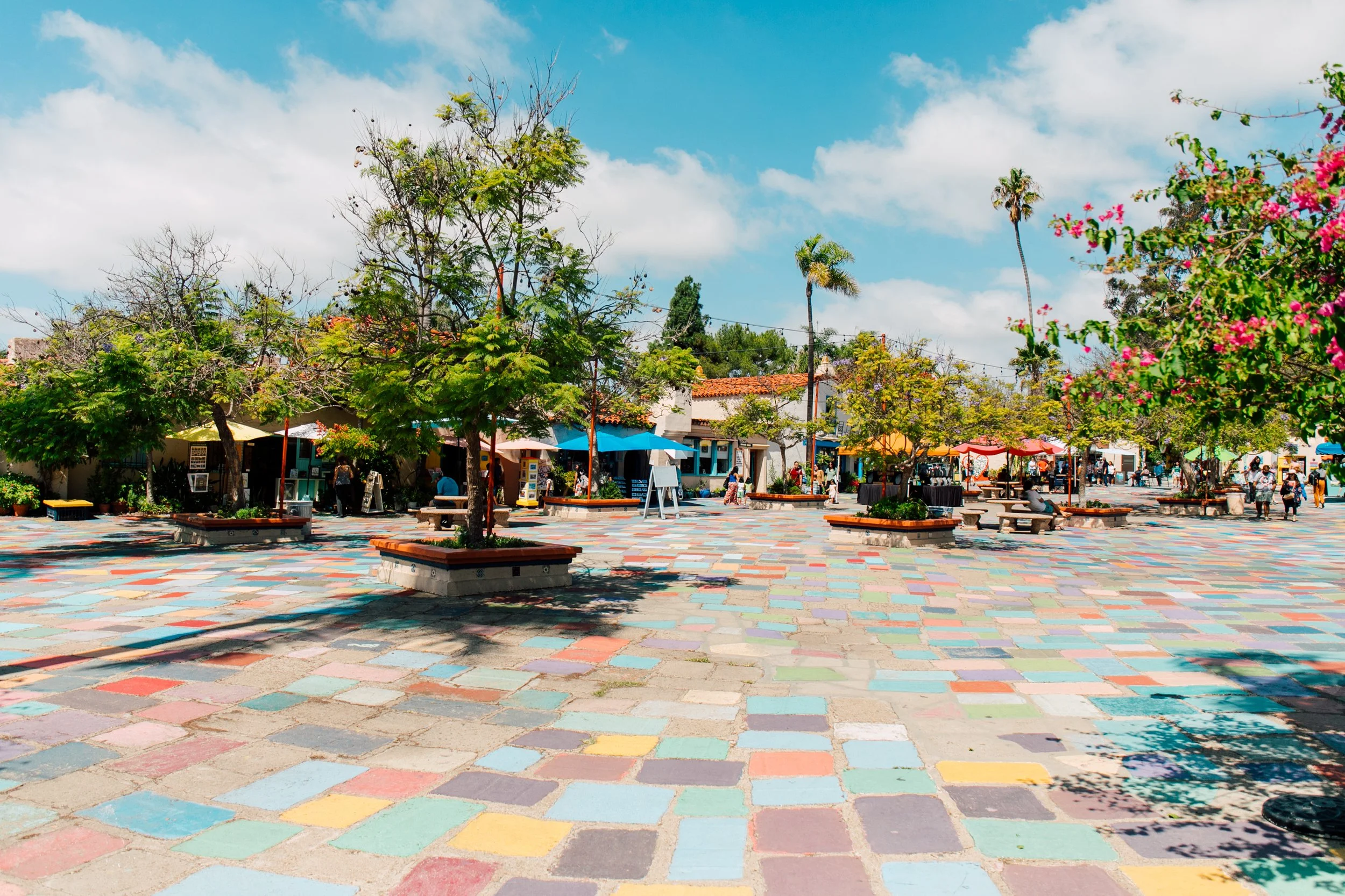 San Diego Point Loma Balboa Park Coronado Island Raptor Experience Katheryn Moran Photography